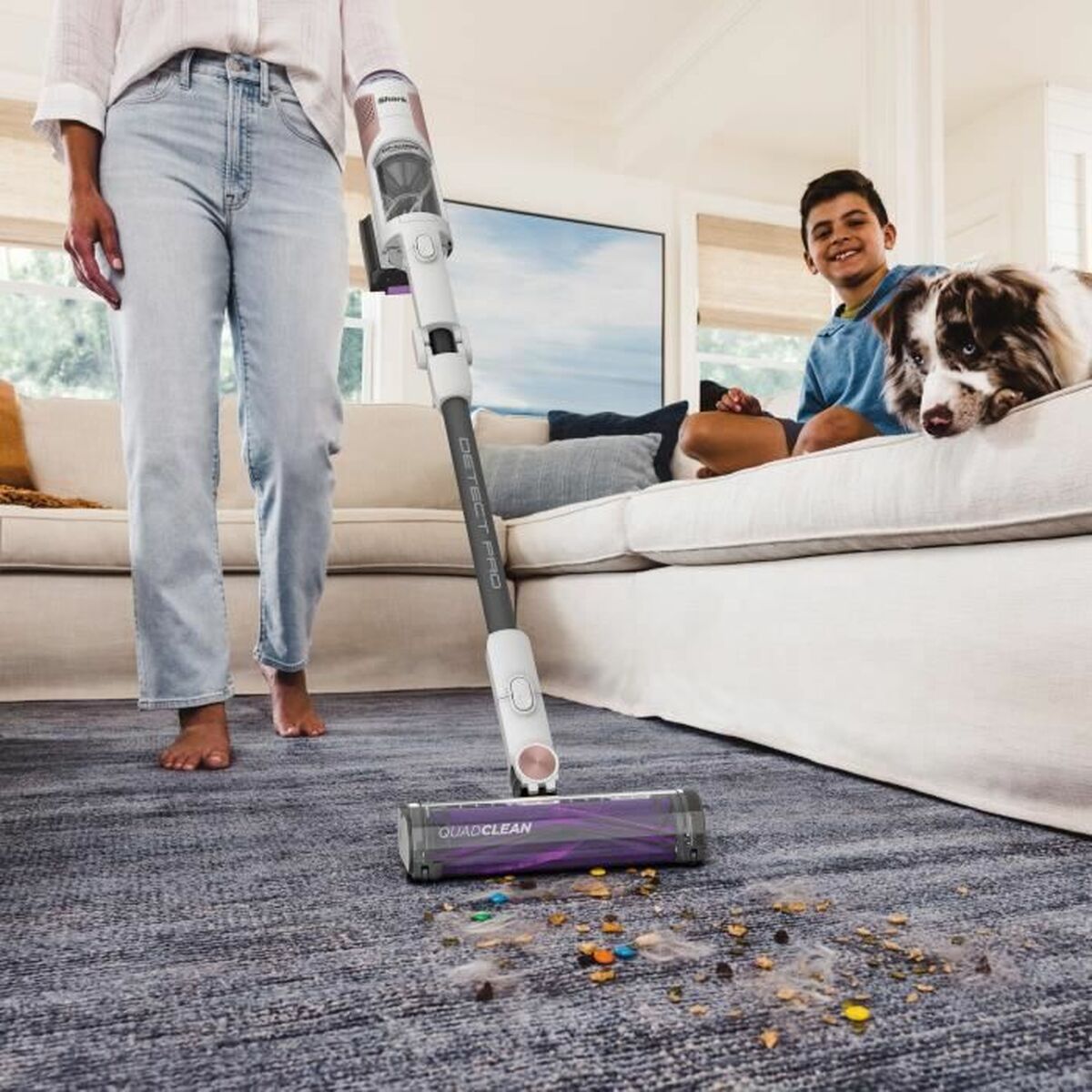 Cordless Vacuum Cleaner Shark IW1611EU 240 W - CA International   #