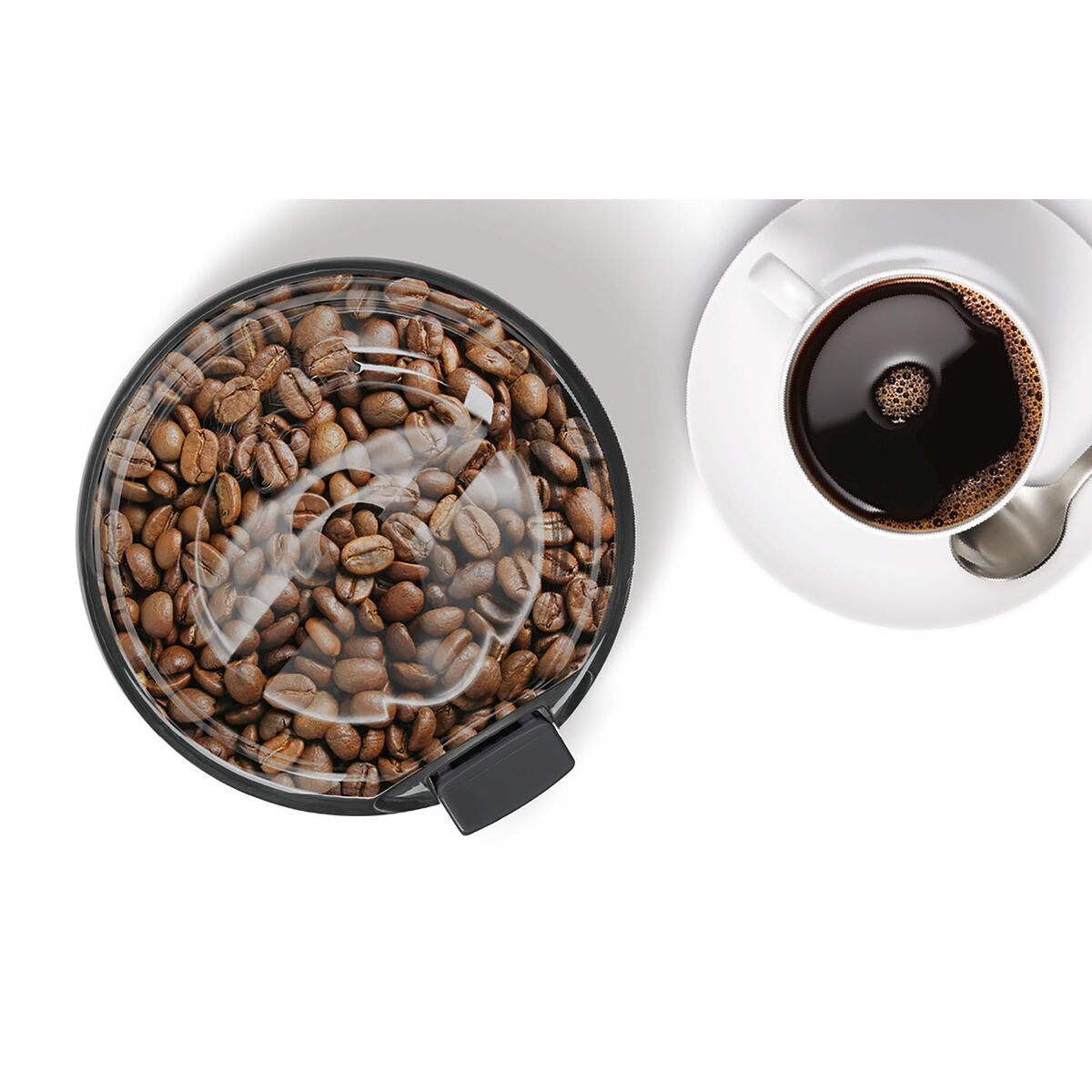 Kaffeemühle BOSCH TSM6A017C - CA International  