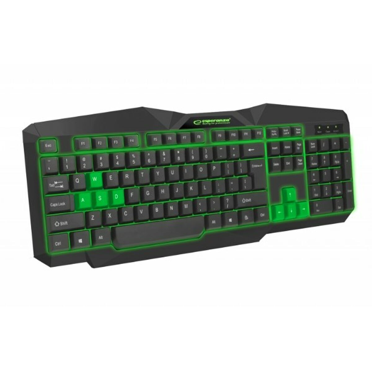 Keyboard Esperanza EGK201G Black Green Monochrome Black/Green English QWERTY - CA International   #