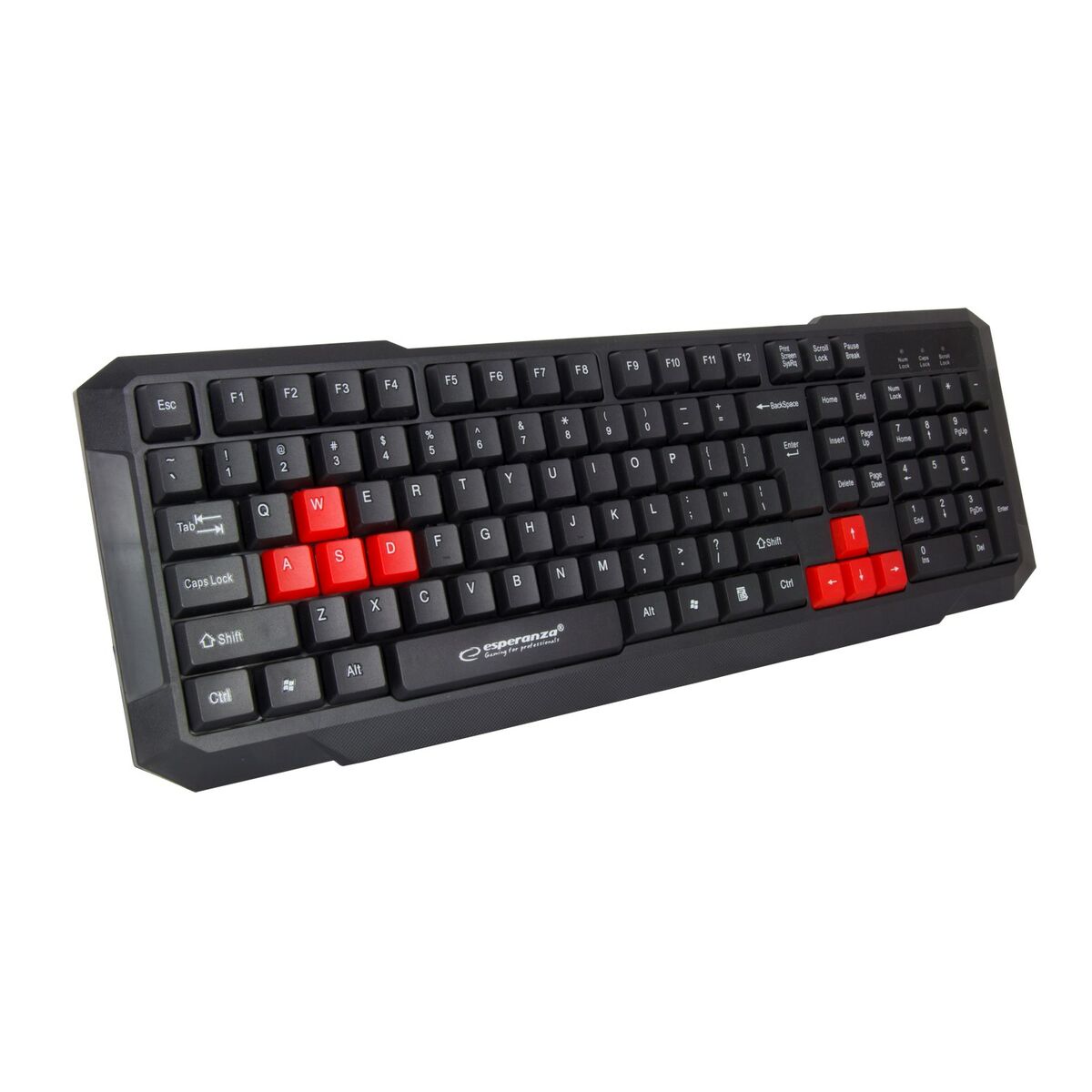 Keyboard Esperanza EGK102R Black - CA International  