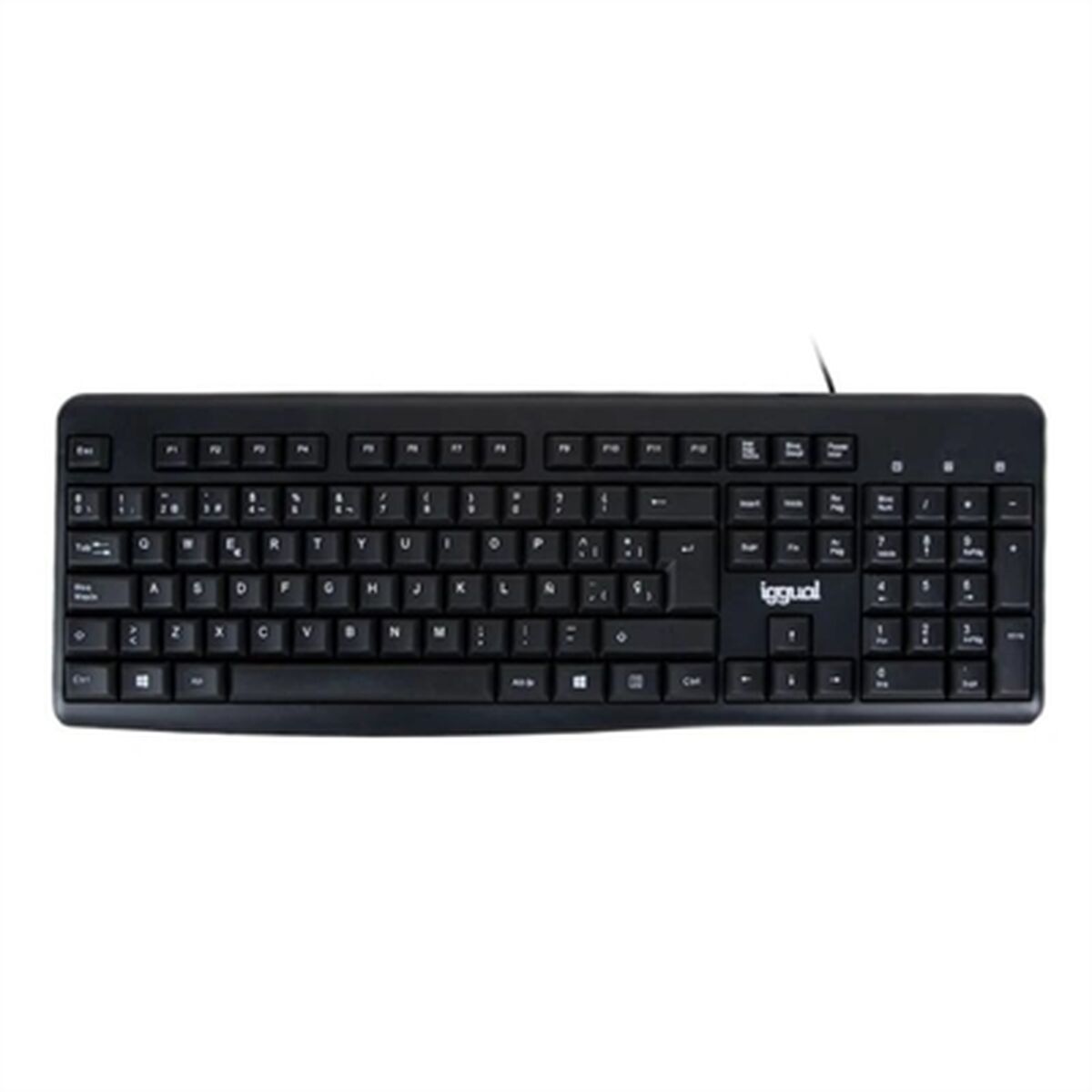 Keyboard iggual CK-BASIC2-105T - CA International   #