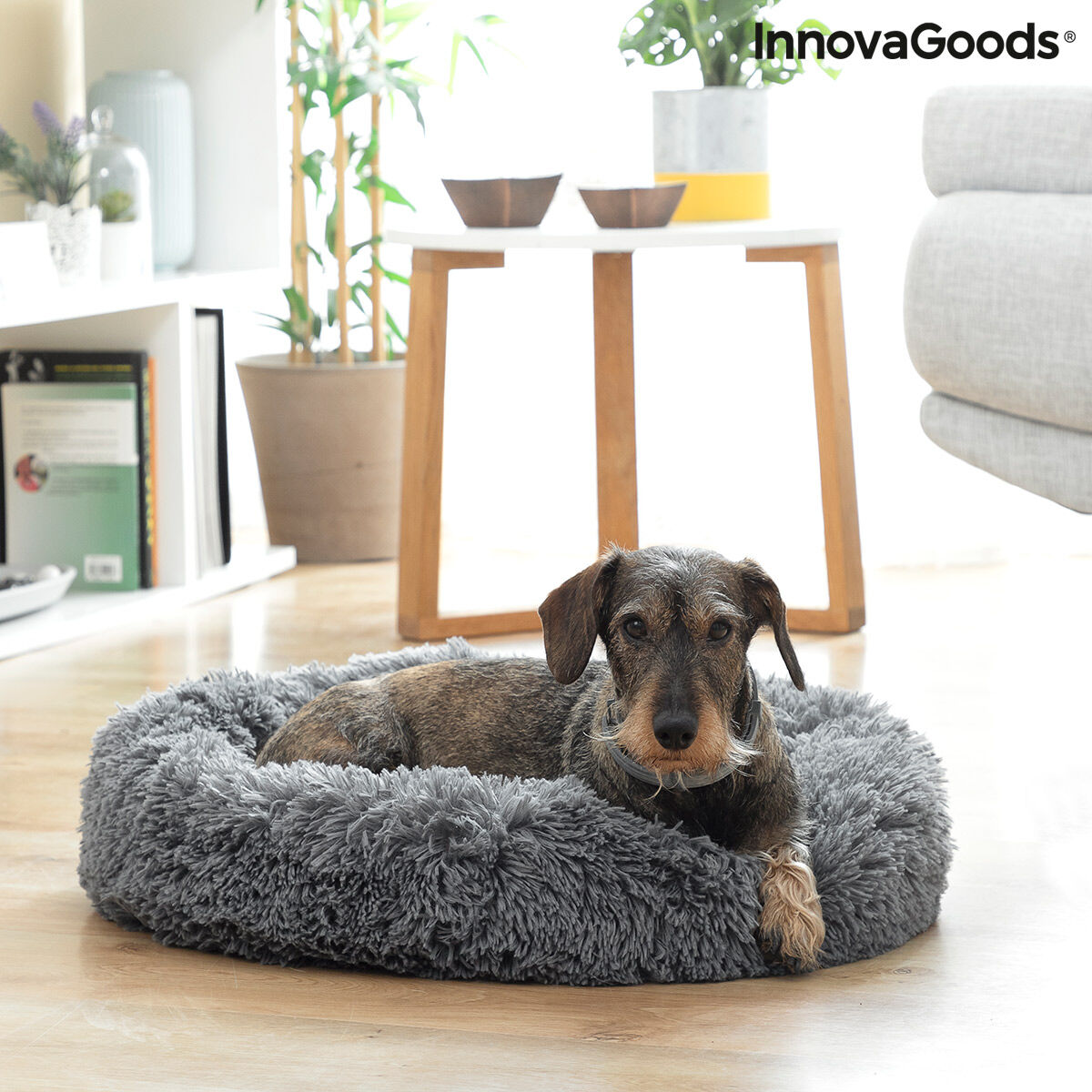 Anti-stress Pet Bed Bepess InnovaGoods Ø 60 cm - CA International   #