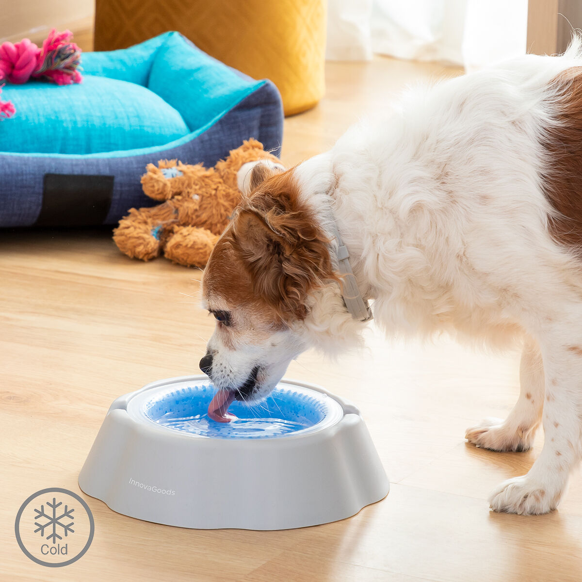 Cooling Pet Water Bowl Freshty InnovaGoods - CA International   #