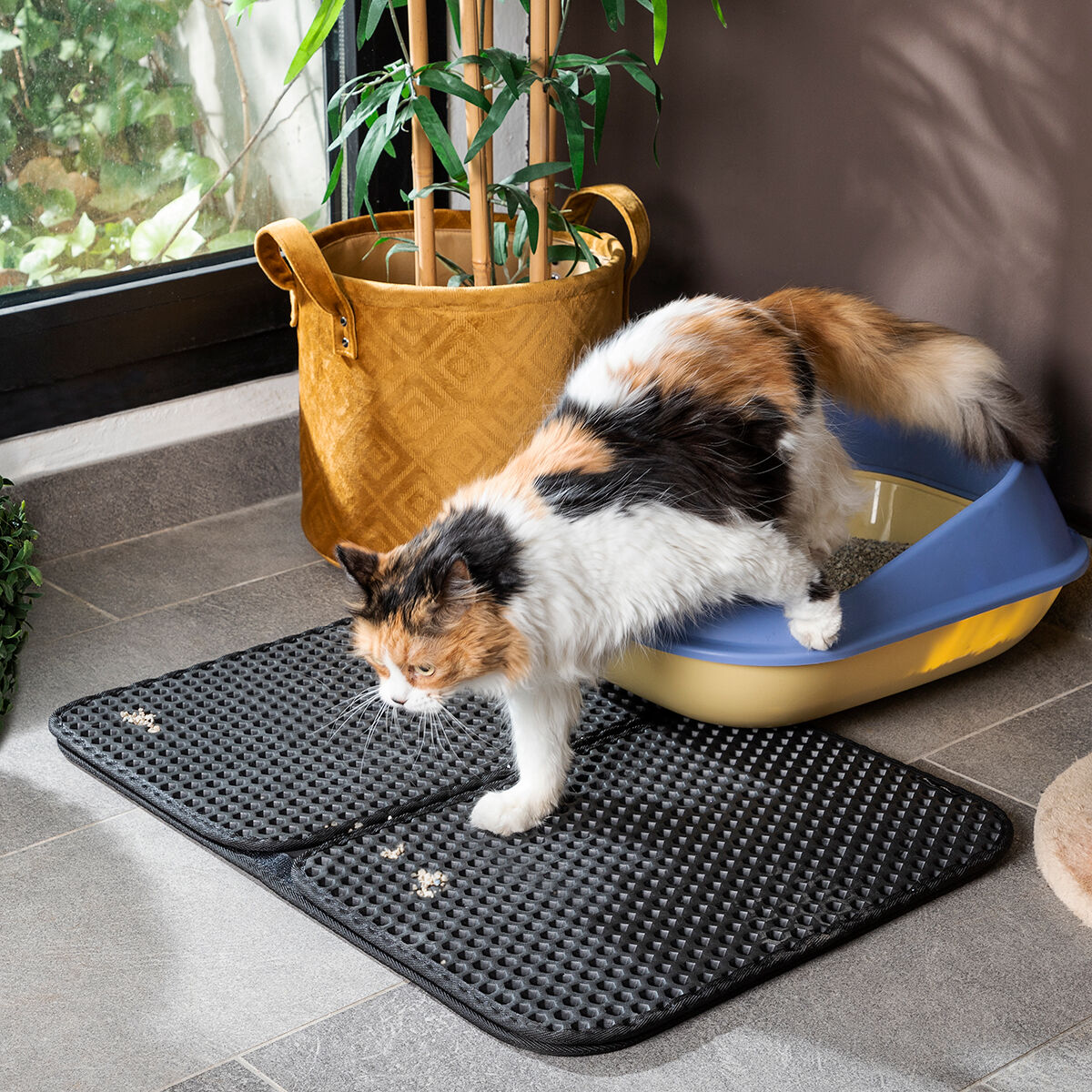 Cat Litter Tray Mat Clikatt InnovaGoods - CA International   #