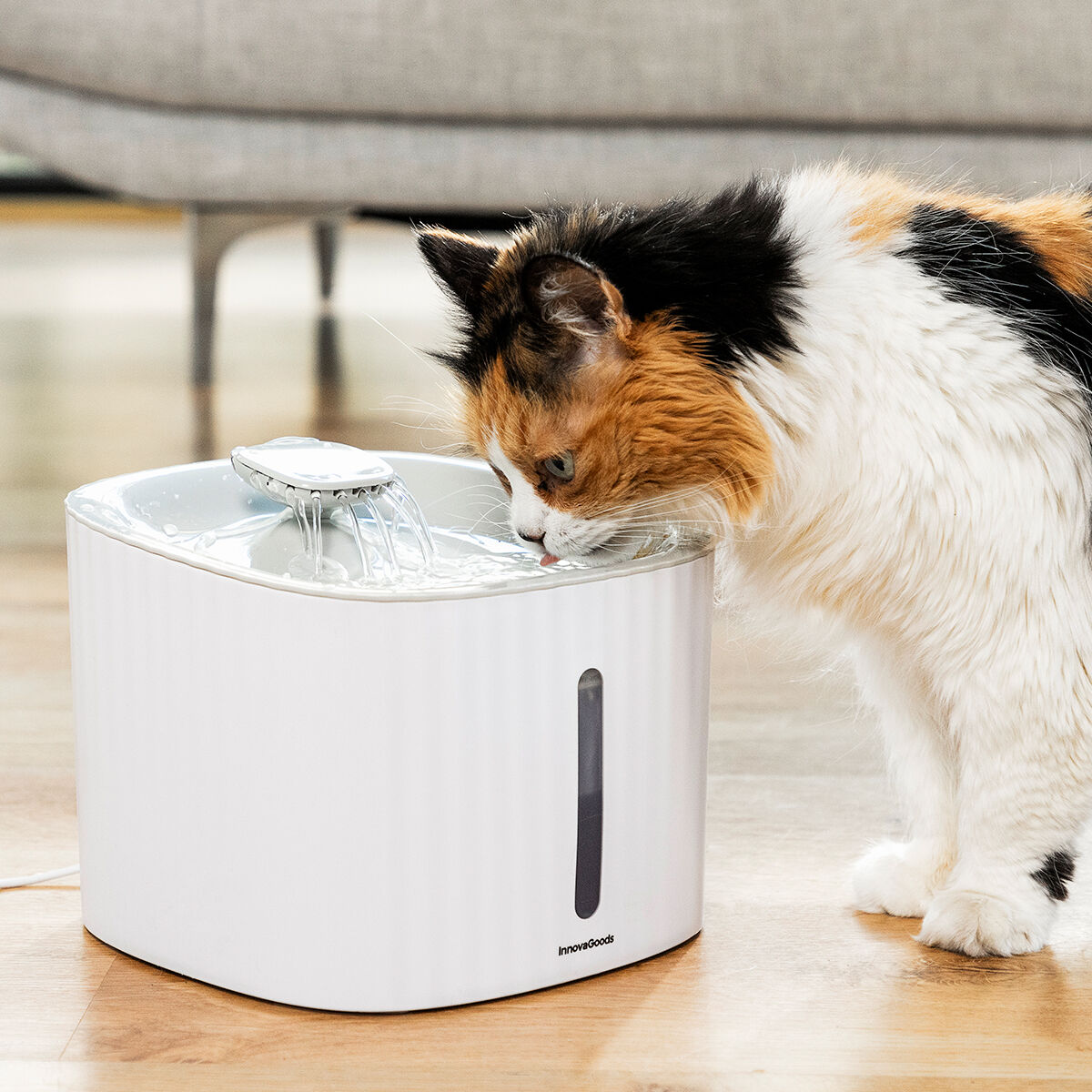 Pet Water Fountain Drinkatt InnovaGoods - CA International   #