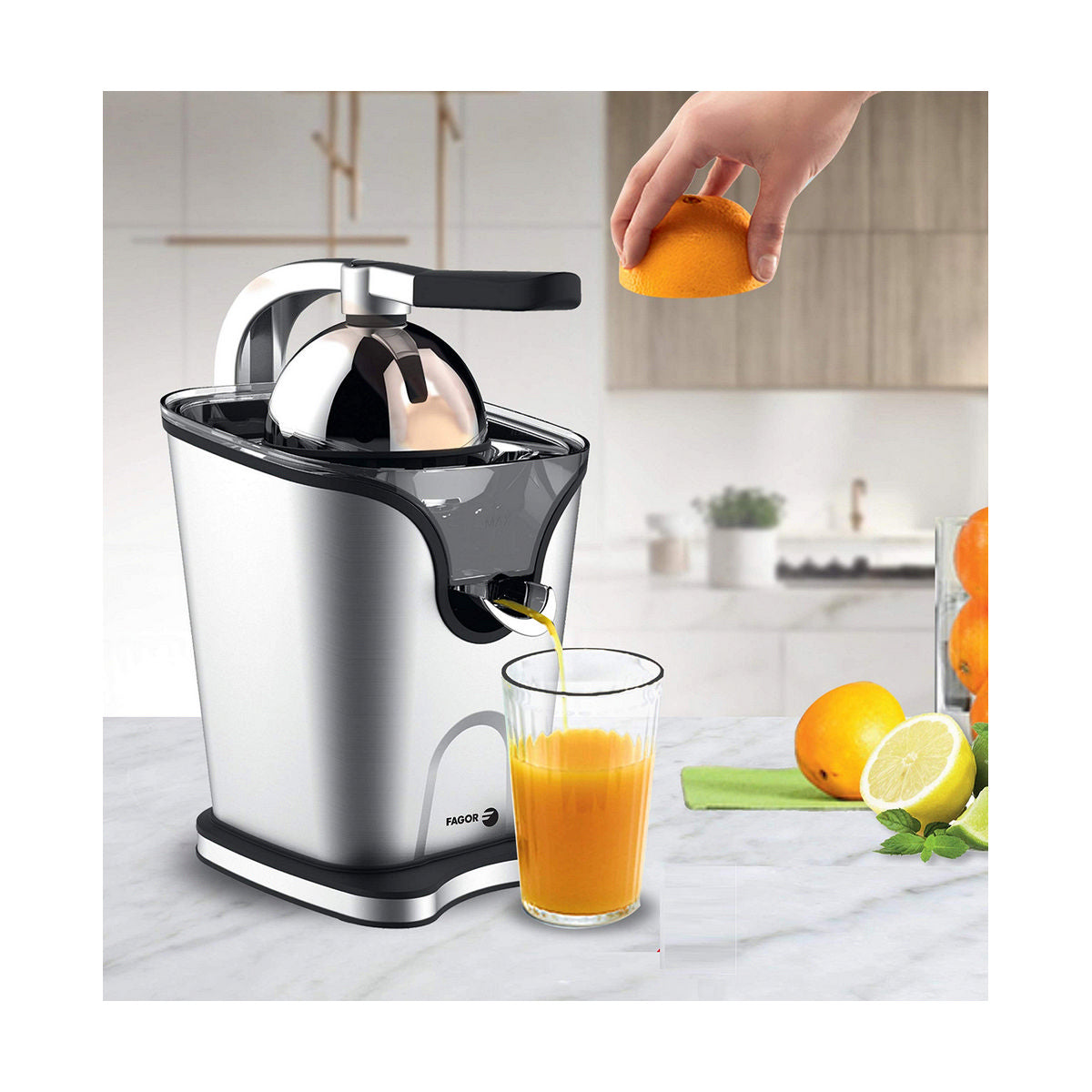 Electric Juicer FAGOR Stainless steel 100W - CA International  