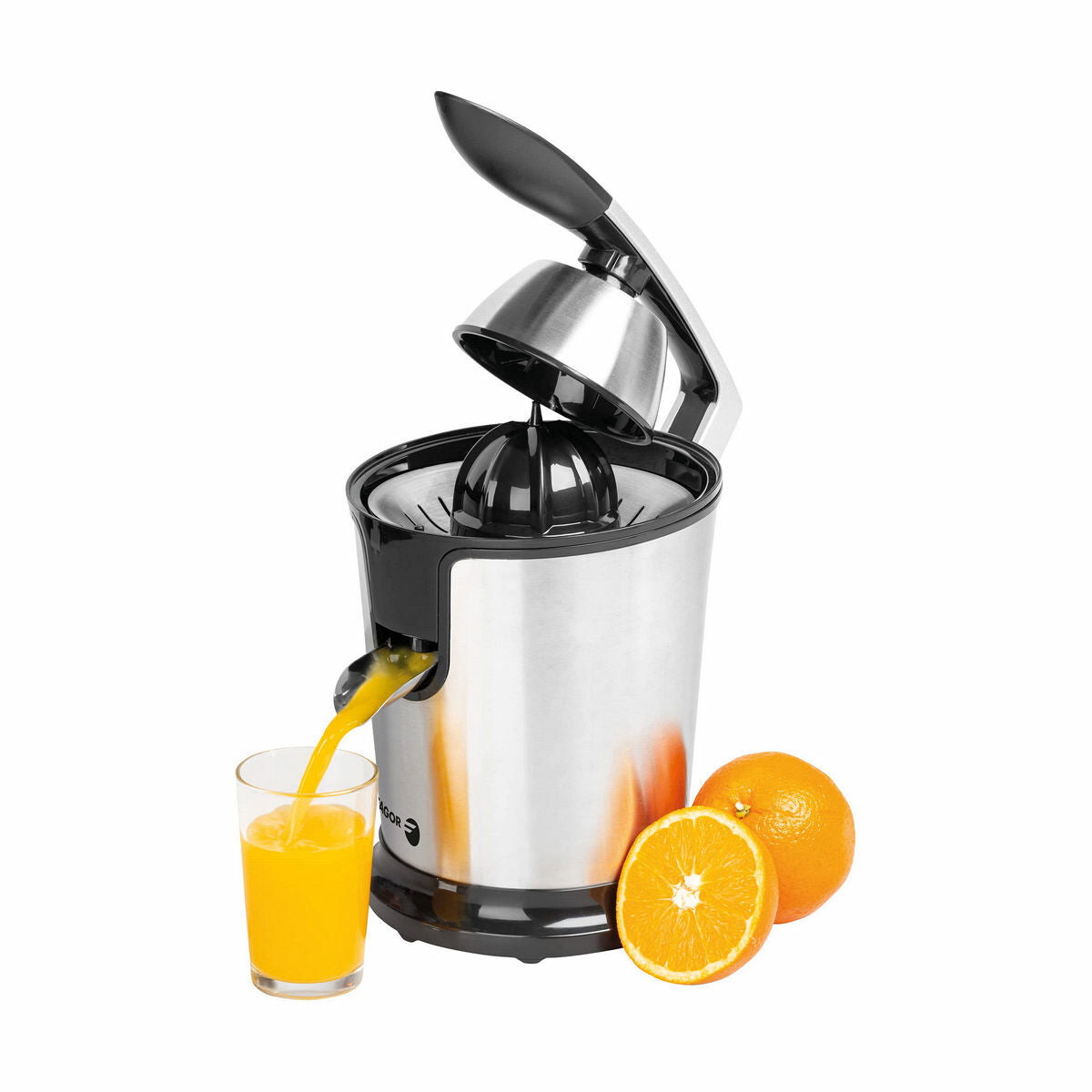 Electric Juicer FAGOR FGE618G Grey 300 W - CA International   #