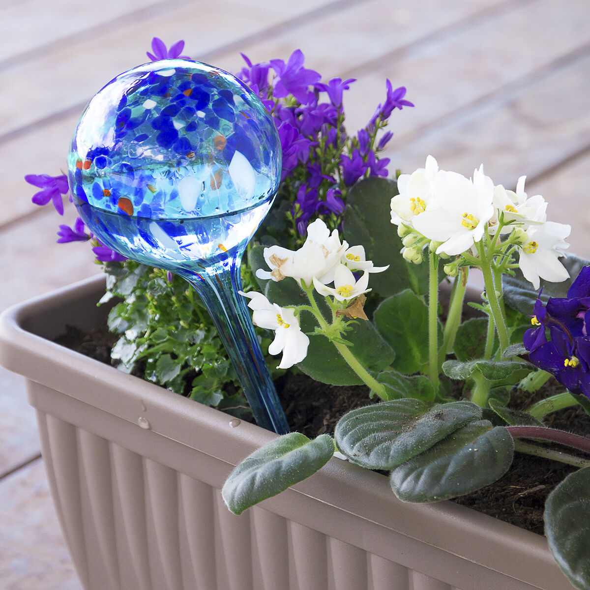 Automatic Watering Globes Aqua·Loon InnovaGoods 2 Units - CA International   #