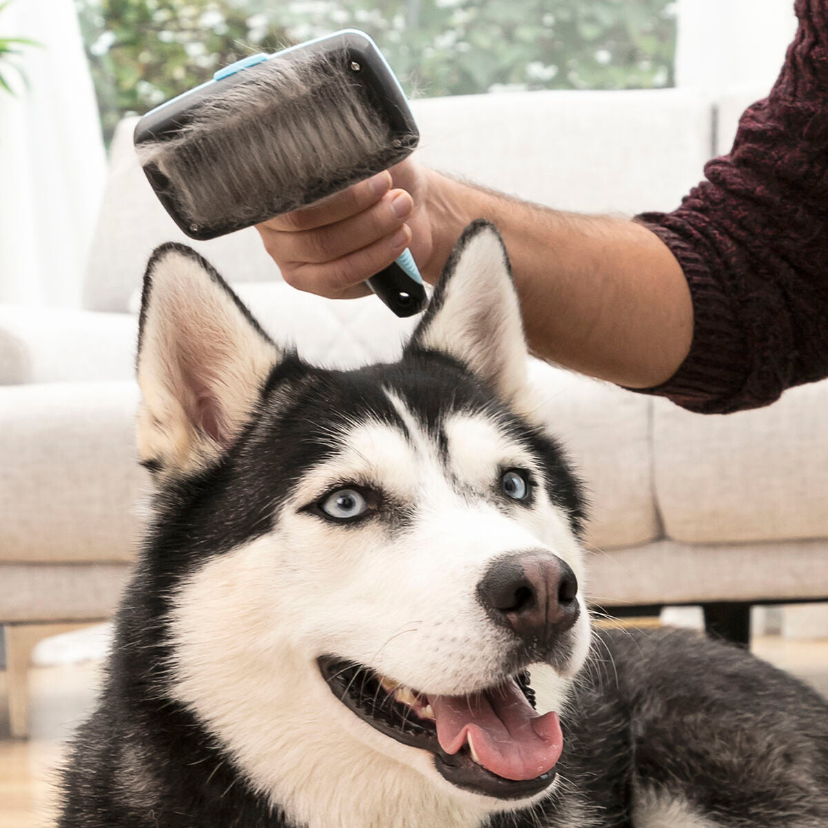 Reinigungsbürste für Haustiere, mit einziehbaren Borsten Groombot InnovaGoods - CA International  
