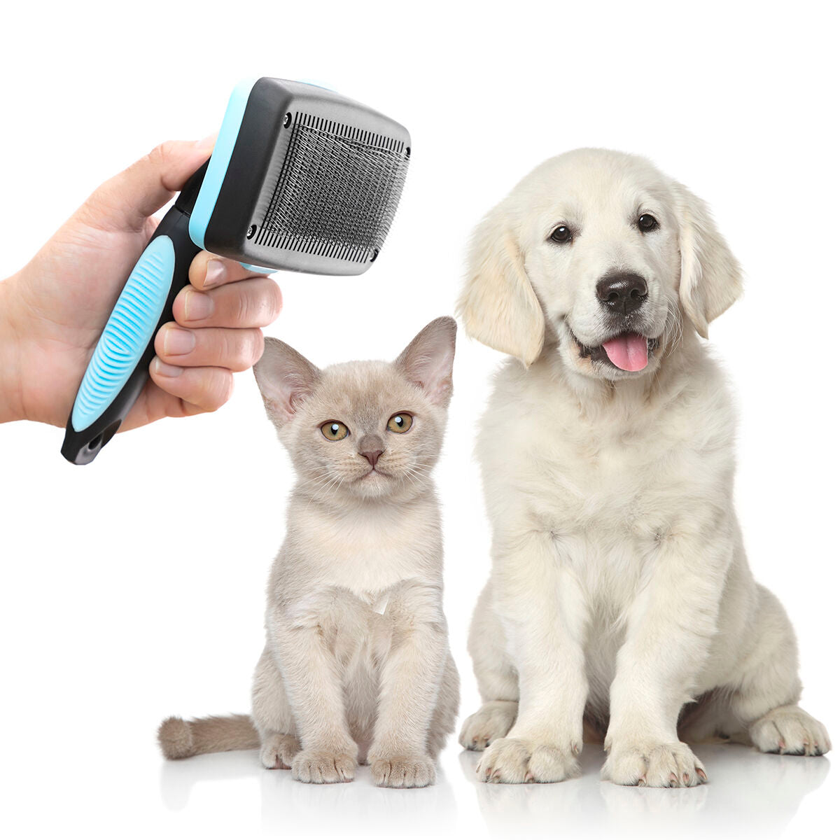 Reinigungsbürste für Haustiere, mit einziehbaren Borsten Groombot InnovaGoods - CA International 