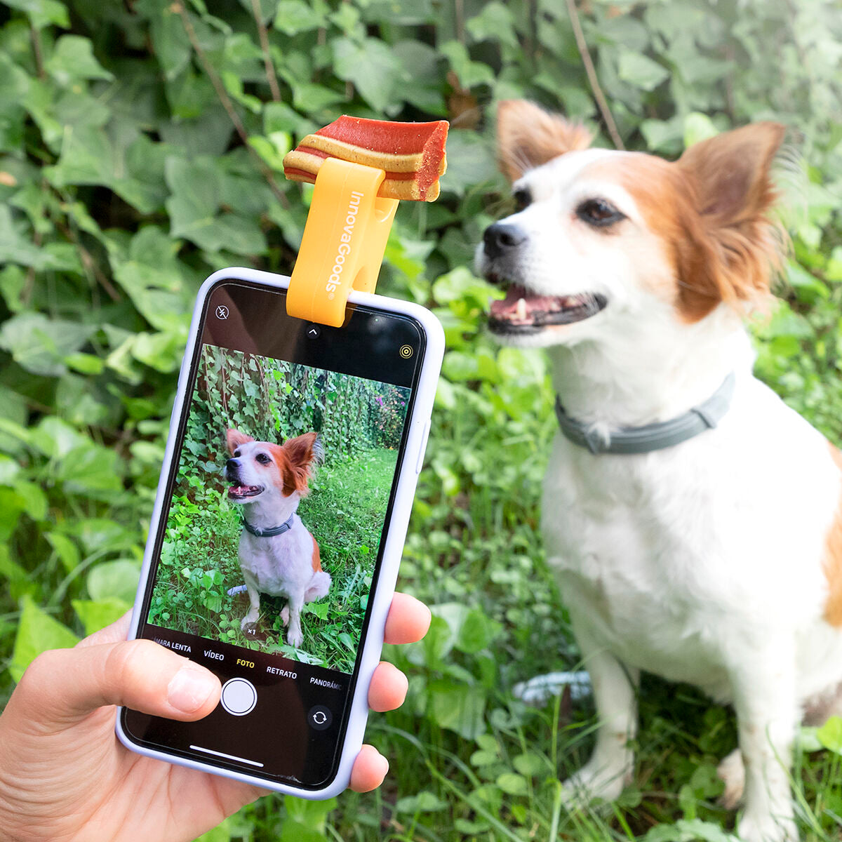 Klammer für Selfies mit Haustieren Pefie InnovaGoods - CA International 