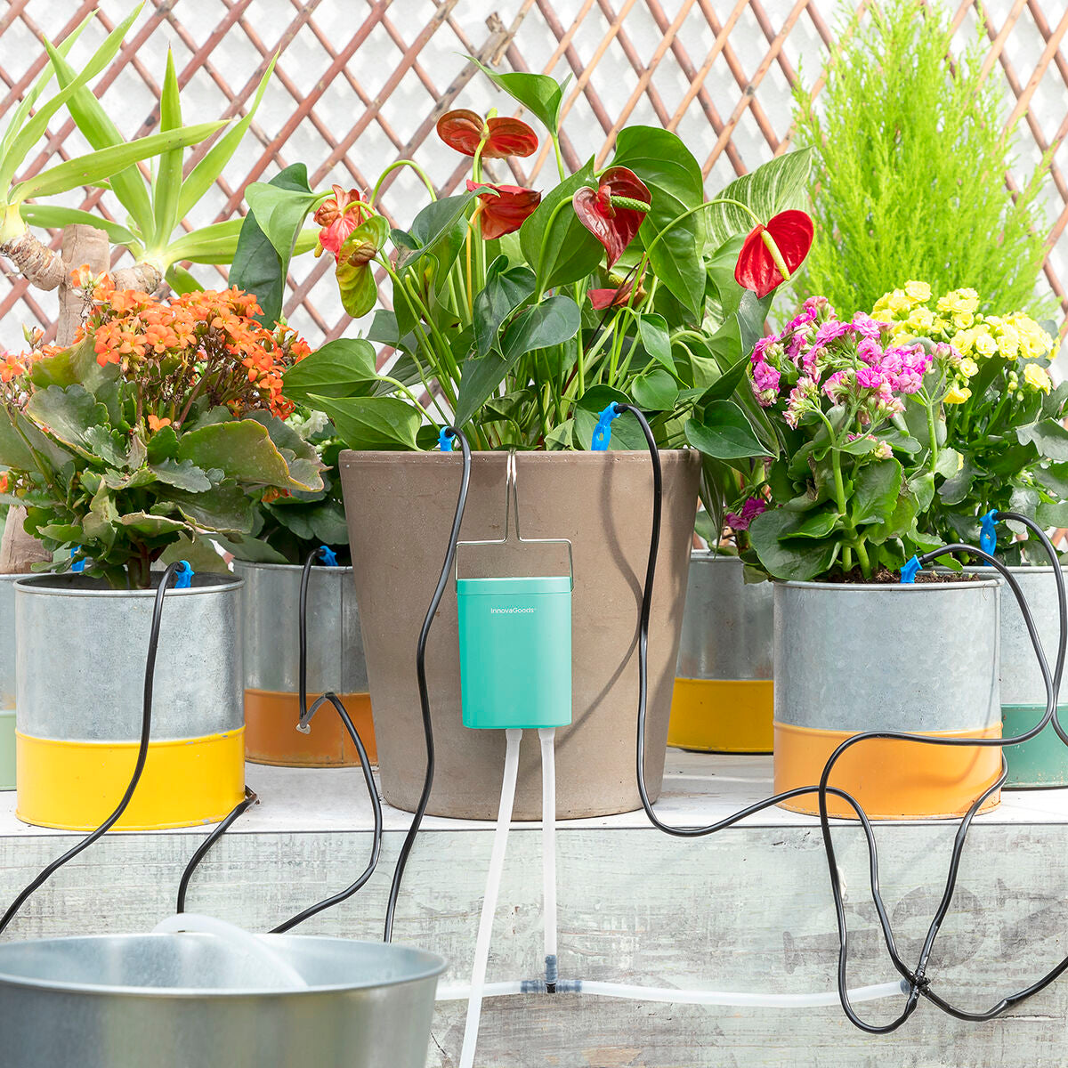 Automatic Drip Watering System for Plant Pots Regott InnovaGoods - CA International   #