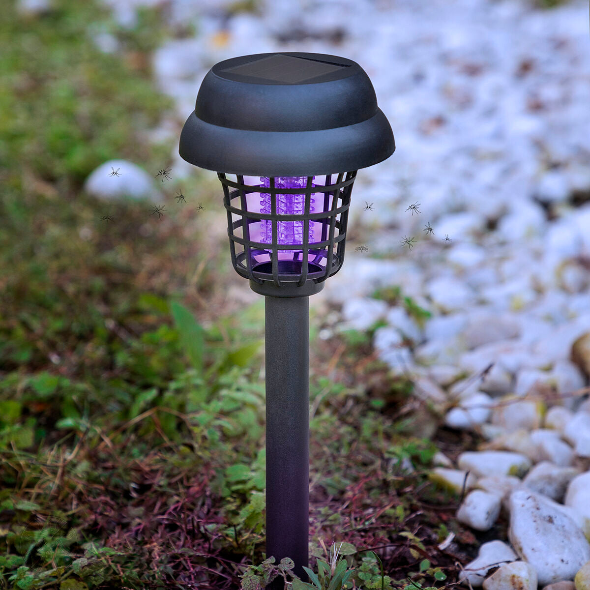 Solarbetriebene Lampe für den Garten gegen Mücken Garlam InnovaGoods - CA International  