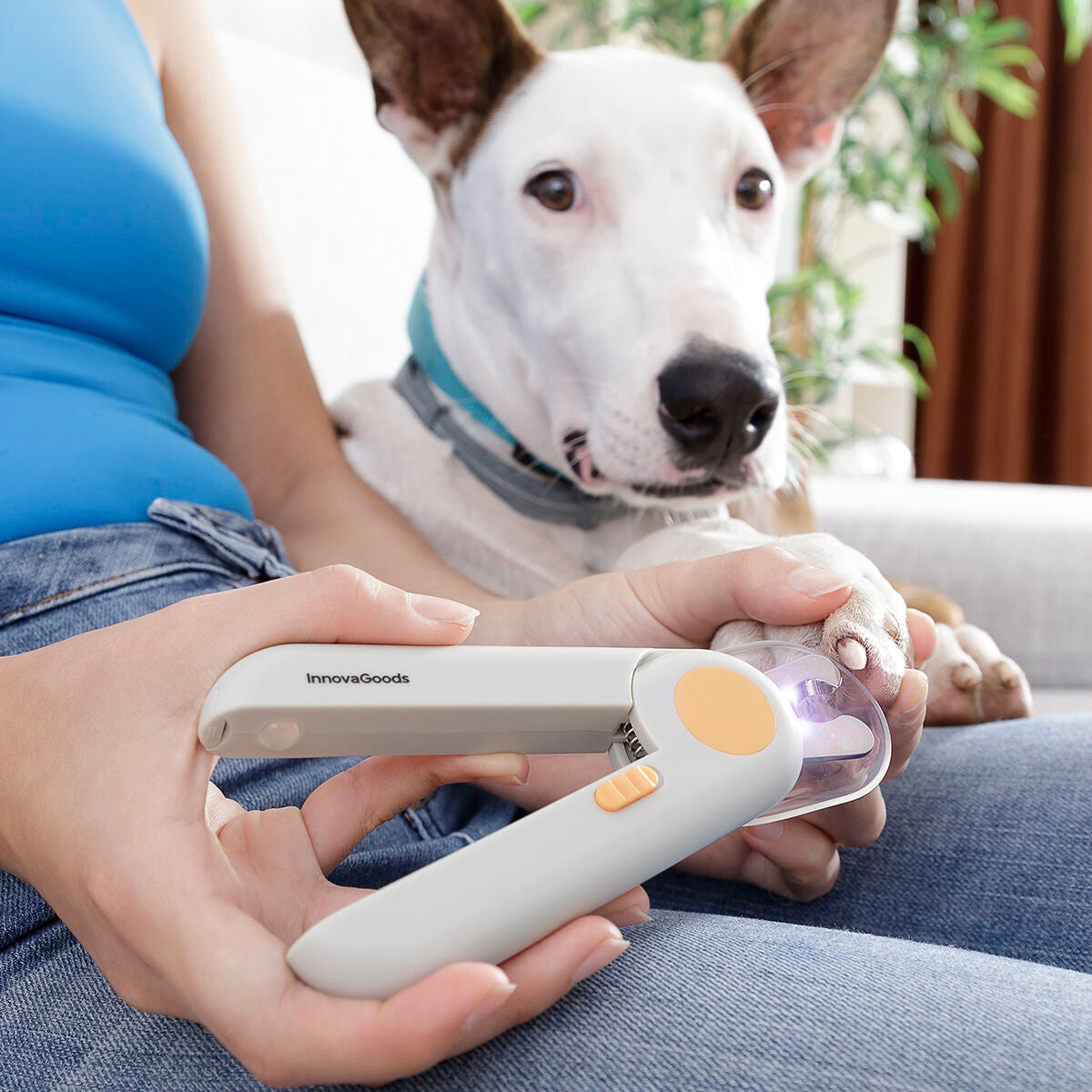 Pet Nail Clippers with LED Clipet InnovaGoods - CA International