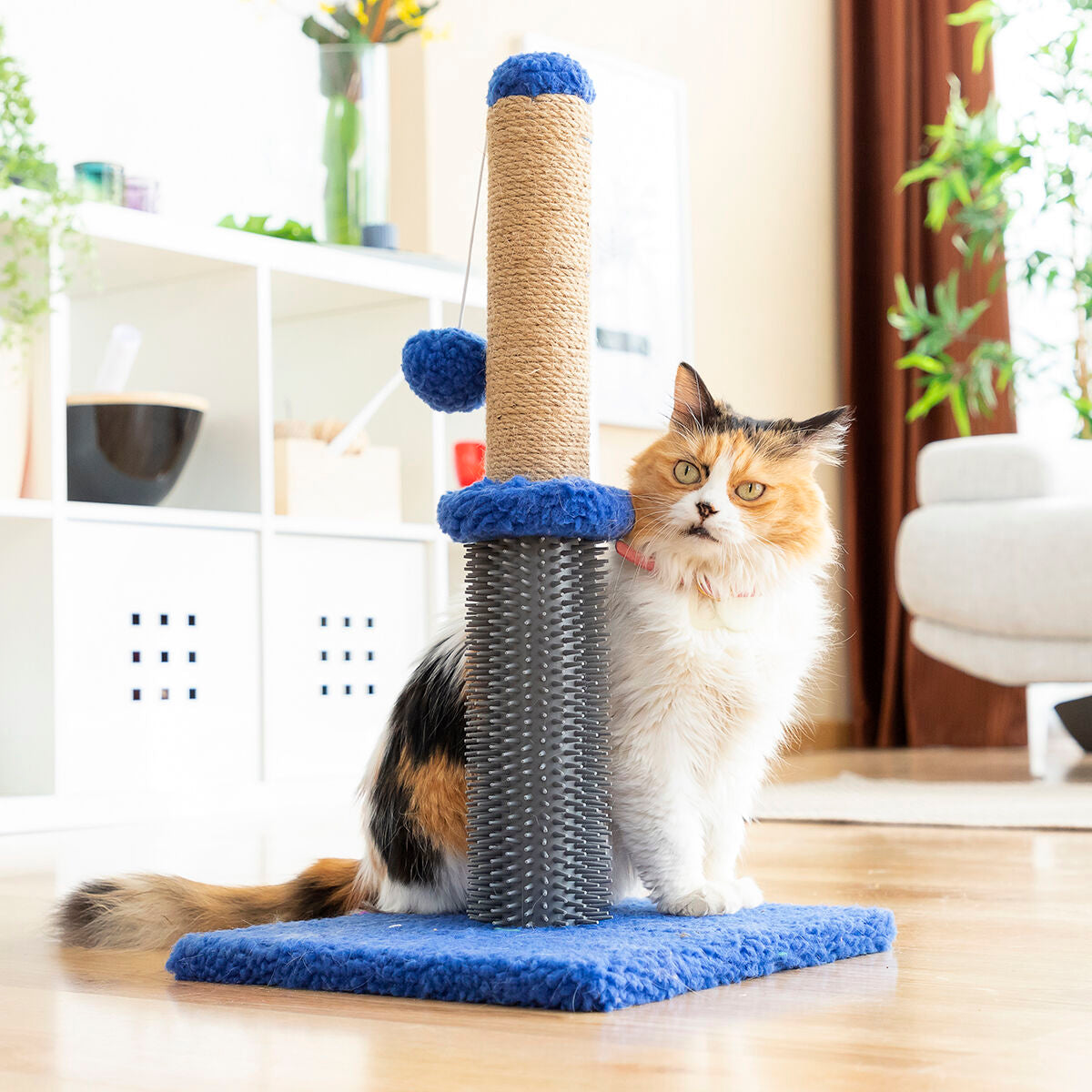 Cat Scratching and Massage Post with Ball Miausage InnovaGoods - CA International   #