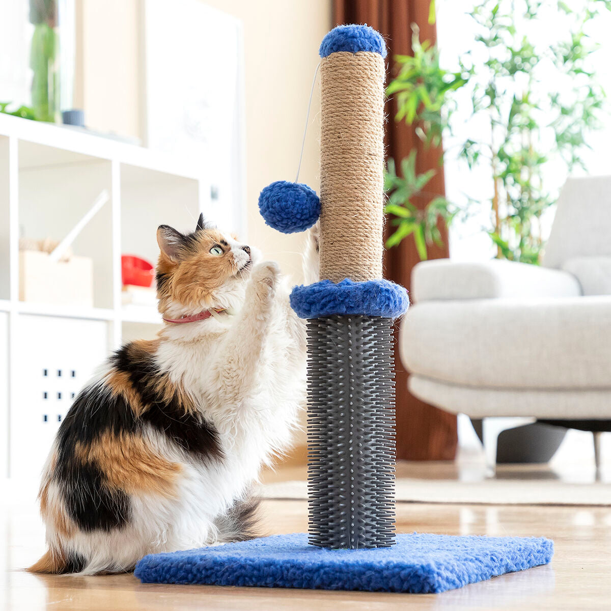 Cat Scratching and Massage Post with Ball Miausage InnovaGoods - CA International   #