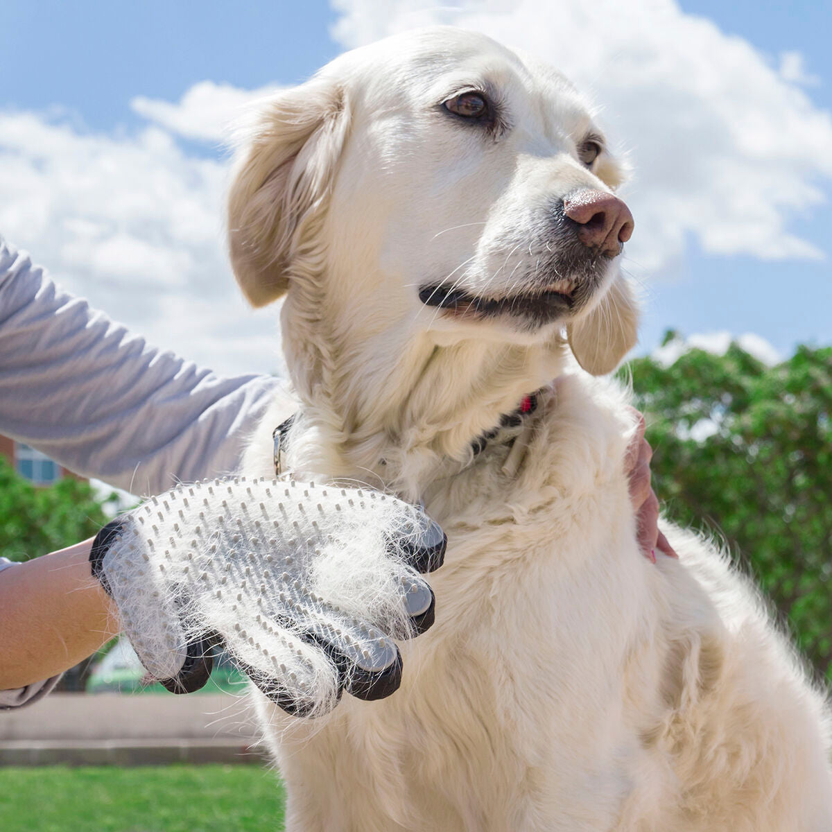 Pet Brush & Massage Glove Relpet InnovaGoods Silicone (Refurbished A) - CA International   #