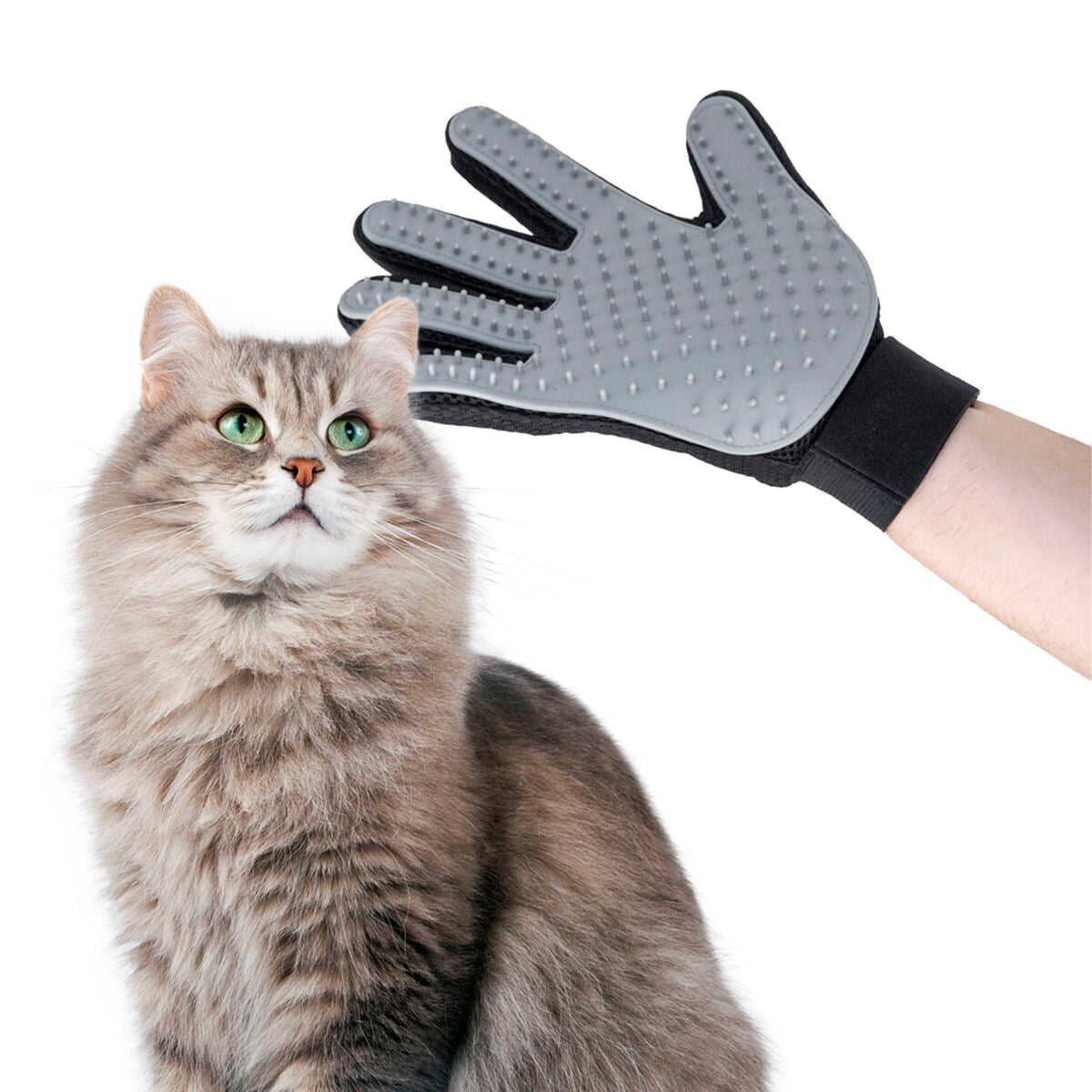 Pet Brush & Massage Glove Relpet InnovaGoods Silicone (Refurbished A) - CA International   #